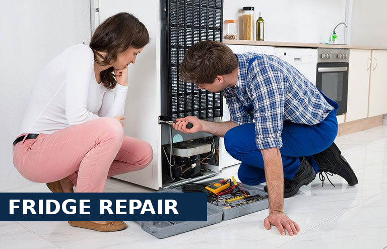 Fridge Repair Merton